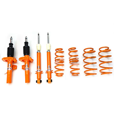 EDDY Damping Perfection: 24-Level Car Suspension Kit for Trumpchi Shadow Leopard (مجموعة تعليق سيارات ذات مستوى 24 لـ (ترامبشي شادو ليوبارد)